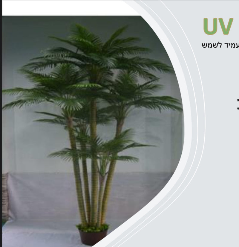 עציץ מלאכותי דקל אריקה טבעות 5 ראשים 3.7 מטר גובה