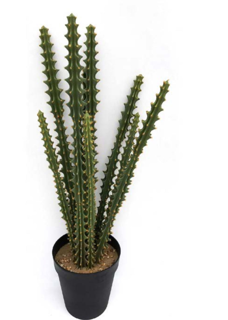 עציץ  קקטוס מלאכותי גובה 108 ס"מ