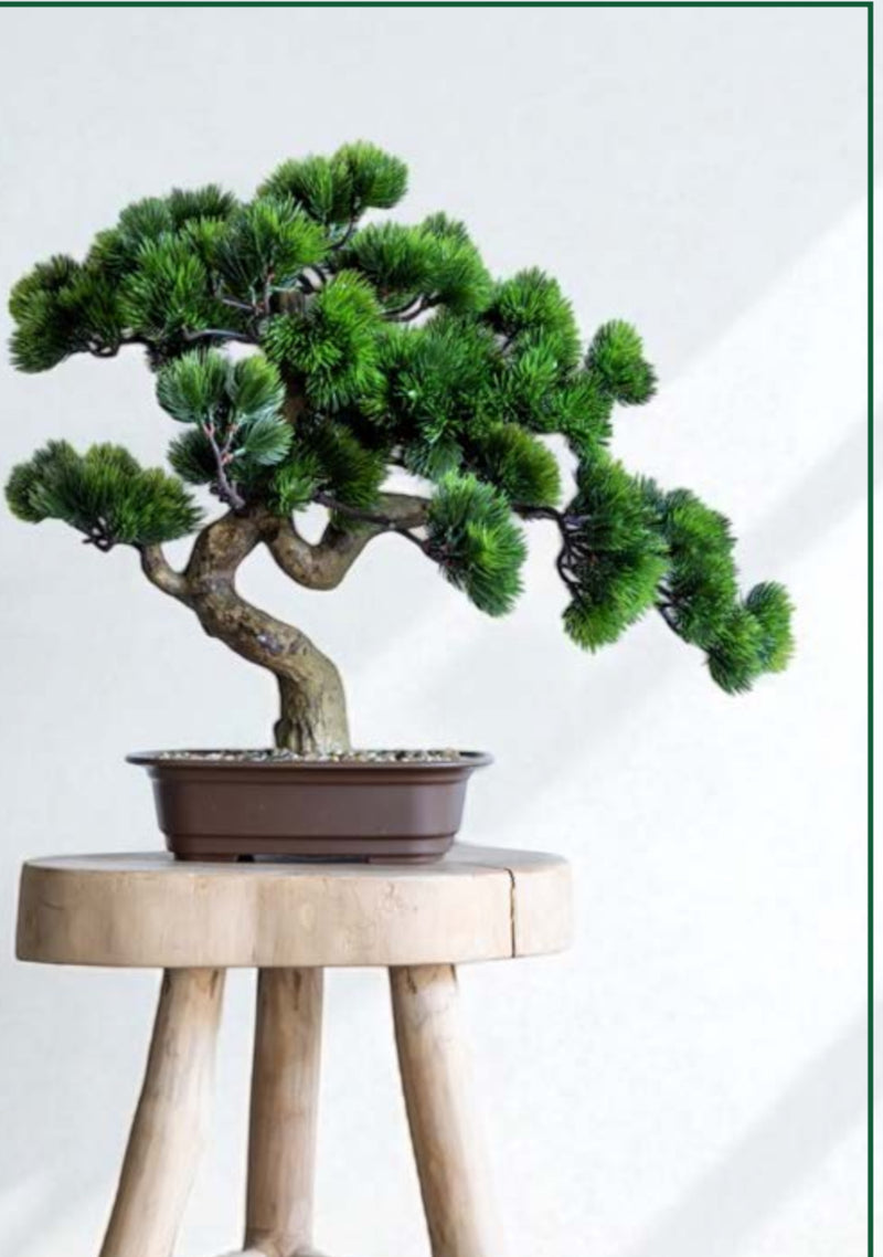 עציץ בונסאי מלאכותי 46 ס"מ עם אבנים