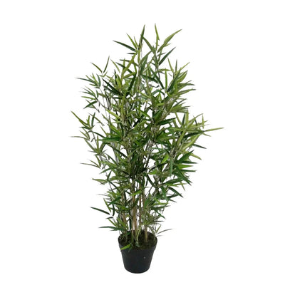 עץ במבוק מיני Hootam